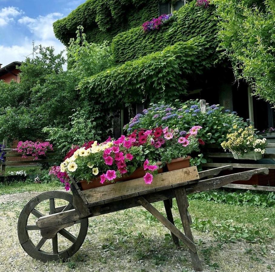 Agriturismo Cascina Selva Bed & Breakfast Ozzero Eksteriør bilde
